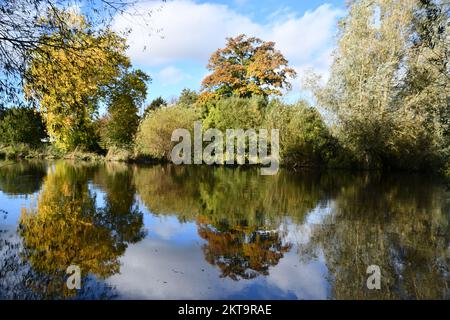 Herbstfarben spiegeln sich an einem Fluss Nore, Kilkenny, Irland Stockfoto