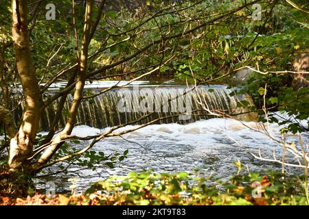 Wehr in Canal Walk, Kilkenny, Irland Stockfoto