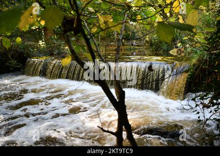 Wehr in Canal Walk, Kilkenny, Irland Stockfoto