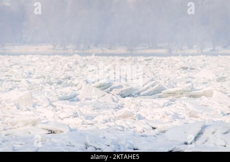 Gefrorene, schneebedeckte Ufer der Donau unterhalb der Festung Petrovaradin, Vojvodina, Novi Sad, Petrovaradin, Serbien. Stockfoto