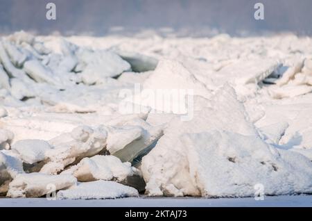 Gefrorene, schneebedeckte Ufer der Donau unterhalb der Festung Petrovaradin, Vojvodina, Novi Sad, Petrovaradin, Serbien. Stockfoto