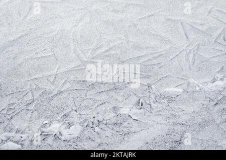 Gefrorene, schneebedeckte Ufer der Donau unterhalb der Festung Petrovaradin, Vojvodina, Novi Sad, Petrovaradin, Serbien. Stockfoto