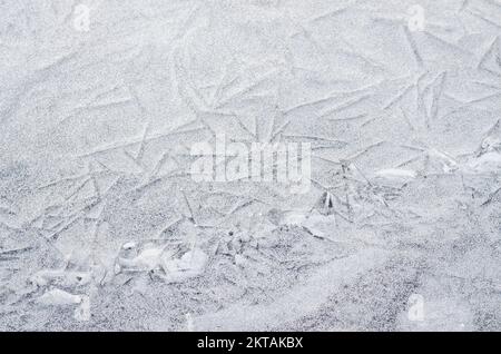 Gefrorene, schneebedeckte Ufer der Donau unterhalb der Festung Petrovaradin, Vojvodina, Novi Sad, Petrovaradin, Serbien. Stockfoto