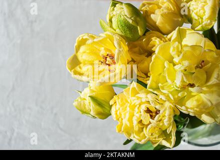 Anordnung eines Straußes gelber Tulpen mit Garn auf grauem Hintergrund mit Kopierraum. Stockfoto