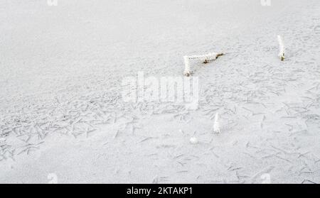 Gefrorene, schneebedeckte Ufer der Donau unterhalb der Festung Petrovaradin, Vojvodina, Novi Sad, Petrovaradin, Serbien. Stockfoto