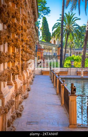 Echte Alcazar Gärten in Sevilla. Andalusien, Spanien Stockfoto