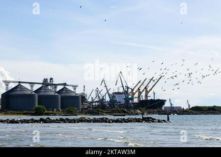 Blick auf den Hafen mit Scharen von fliegenden Vögeln, Getreideterminal-Silos, vielen Küstenkranen und Großschiffen Stockfoto