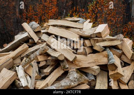 Gehacktes Brennholz zum Heizen liegt auf einem Haufen zwischen den Bäumen Stockfoto
