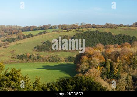 Old Winchester Hill im November, Herbstblick auf die SSSI im South Downs National Park, Hampshire, England, Großbritannien Stockfoto