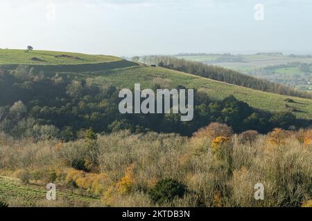 Old Winchester Hill im November, Herbstblick auf die SSSI im South Downs National Park, Hampshire, England, Großbritannien Stockfoto