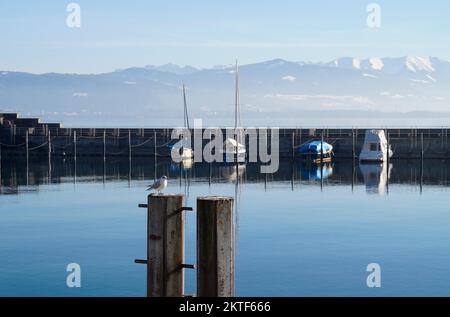 Hafen von Lindau am ruhigen, winterlichen Bodensee oder Bodensee mit den Alpen im Hintergrund an einem schönen Winterabend mit malerischem Himmel Stockfoto