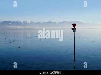 Hafen der Insel Lindau am ruhigen Bodensee oder Bodensee mit den Alpen im Hintergrund an einem schönen Winterabend mit malerischem Himmel Stockfoto