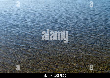Klares türkisfarbenes Wasser des Bodensees oder Bodensees mit Steinen, Felsblöcken und Kieselsteinen als Hintergrund der Website Stockfoto