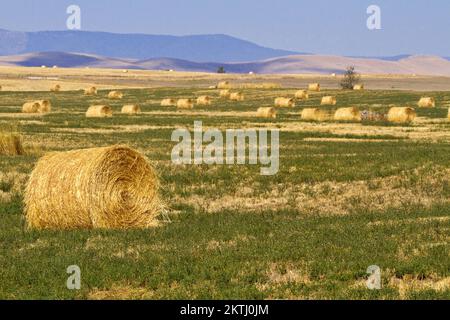 Ländliche Landschaftslandschaft in Montana im Ronan Lake County im amerikanischen Westen Stockfoto