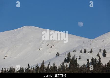 Fantastische abendliche Winterlandschaft. Dramatischer Himmel mit Narrenmond. Schneewetter. Stockfoto