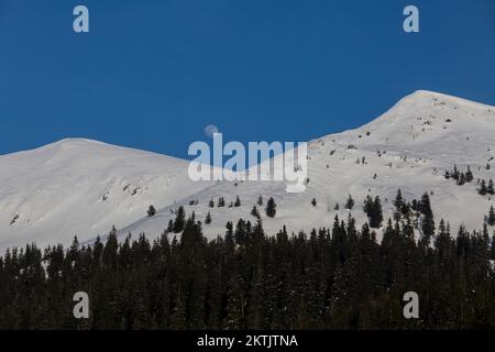 Narrenmond mit der fantastischen abendlichen Winterlandschaft. Marmarosy, Schneewetter in den Karpaten Stockfoto