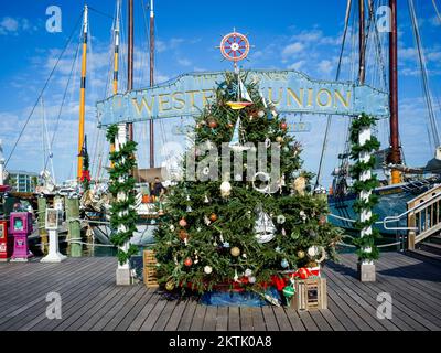 Weihnachtsbäume in Key West, tropische Weihnachten, Key West Florida, USA Stockfoto