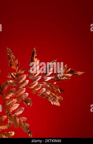 Goldene Zweigstelle des Werks Fern vor rotem Hintergrund. Gut für Neujahr oder Weihnachten festliche Banner. Stockfoto