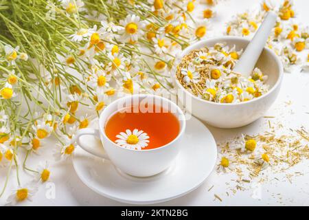 Gänseblümchen im weißen Teetasse, gesunde Kamillenkräuter und Mörtel von trockenen Gänseblümchen auf Betonhintergrund. Pflanzliche Medizin. Gesunder Lebensstil Konz Stockfoto