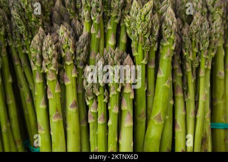 Nahaufnahme des frisch gepflückten Spargels officinalis - Spargelschießen auf dem Markt, Byward Market, Ottawa, Ontario, Kanada. Stockfoto