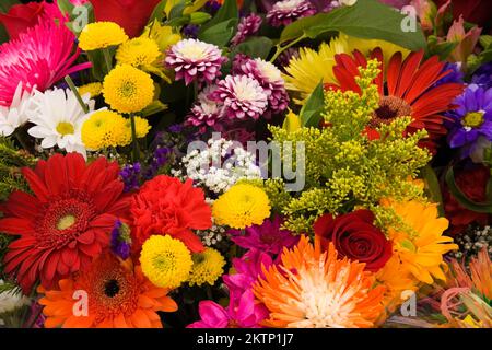 Gerbera rot und orange, Bellis perennis weiß - Daisy und andere frisch geschnittene Blumen zum Verkauf auf dem Markt im Frühjahr. Stockfoto