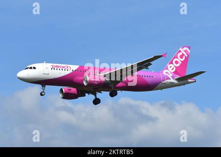 Präfektur Chiba, Japan - 18. Mai 2019: Passagierflugzeug Peach Airbus A320-200 (JA810P). Stockfoto