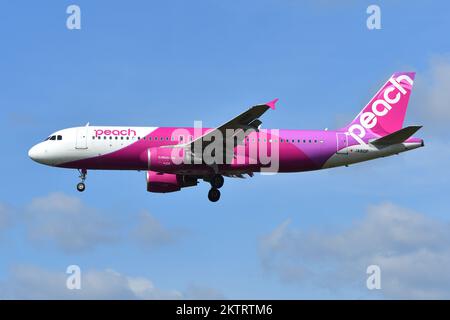 Präfektur Chiba, Japan - 18. Mai 2019: Passagierflugzeug Peach Airbus A320-200 (JA810P). Stockfoto