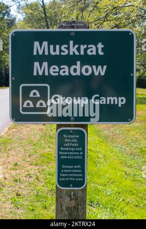 Moschusrat Meadow im Deas Island Regional Park in Delta, British Columbia, Kanada Stockfoto