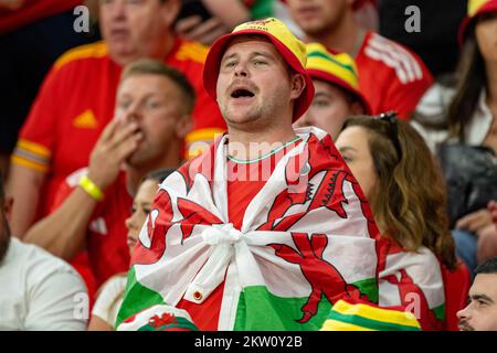 Al-Rayyan, Katar. 29.. November 2022. Der walisische Fan beim FIFA-Weltmeisterschaftsspiel Katar 2022 Gruppe B zwischen Wales und England im Ahmad bin Ali Stadium in Al Rayyan, Katar, am 29. November 2022 (Foto: Andrew Surma/Credit: SIPA USA/Alamy Live News Stockfoto