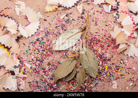 Trockene Blätter inmitten Farbe Bleistift rasieren Stockfoto