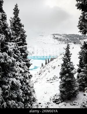 Wunderschöne Landschaft mit dem türkisfarbenen Schnee, dem Big Almaty Mountain Lake und dem Fichtenwald am Strand in Tien Shan, Kasachstan. Stockfoto