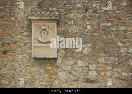 Denkmal für Johannes Gutenberg 1400-1468 im Wahlschloss in Eltville, Rheingau, Taunus, Hessen, Deutschland, Europa Stockfoto