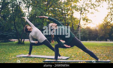 Zwei hübsche Frauen machen im Stadtpark Yoga auf Matten, üben Asanas und atmen frische Luft. Einzelpraxis, Berufslehrer und Naturkonzept. Stockfoto