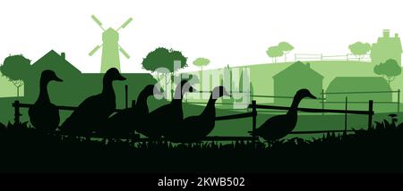 Enten grasen auf der Weide. Bildsilhouette. Haustiere auf dem Bauernhof. Hausgeflügel. Ländliche Landschaft mit Bauernhaus. Isoliert auf weißem Hintergrund. Vektor Stock Vektor