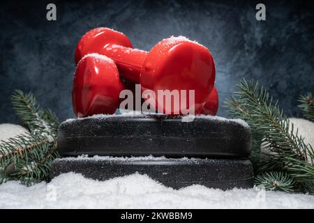 Kurzhanteln auf Gewichtstafeln, Weihnachtsbäume auf Schnee. Fitness-Feiertage Winterzusammensetzung. Fitnessstudio Training Sporttraining Konzept. Stockfoto