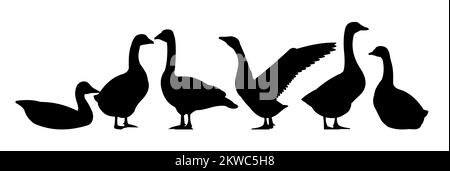 Gänse-Objektsatz. Silhouette der Landschaft. Landwirtschaftlicher Vogel. Objekt auf weißem Hintergrund isoliert. Vektor. Stock Vektor