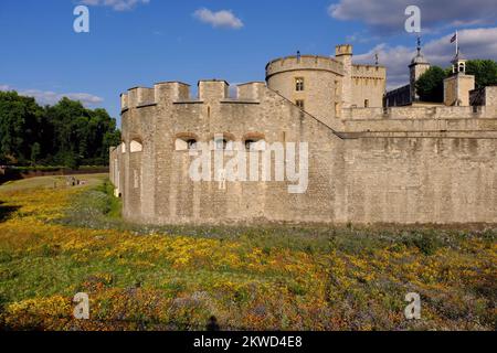 Queen Elizabeth II. Platinum Jubilee: Tower of London Superbloom; eine Landschaft mit Wildblumen im Tower, London, England Stockfoto