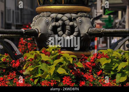 Vier geformte Rammbohrköpfe mit verschlungenen, geschwungenen Hörnern versorgen das Trinkwasser aus ihren Mündern am Landsknechtbrunnen (Mercenarbrunnen) am Fronwagplatz in der Altstadt von Schaffhausen in der Nordschweiz. Schwarze Böcke sind die heraldischen Symbole der Stadt und des Kantons Schaffhausen. Stockfoto