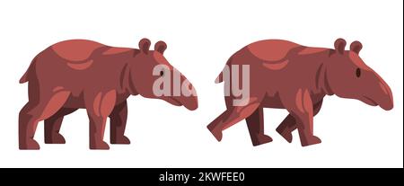 Tapir tapiridae im Stand grosse pflanzenfressende Säugetiere mit Nasenstamm Stock Vektor