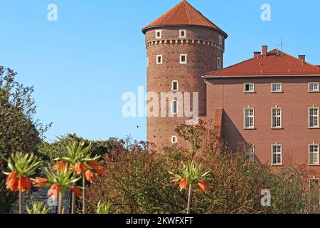 KRAKAU, POLEN - 29. APRIL 2012: Der Sandomir-Turm ist einer der Türme des ältesten königlichen Wawelschlosses. Stockfoto