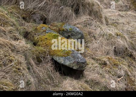 Um 400 CE begruben die Vorfahren der Wikinger ihre hochrangigen Menschen in Steingräbern an einem Ort, der heute Føre auf dem Archipel Vesterålen heißt. Stockfoto