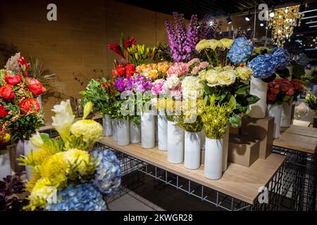 Wunderschöner Blumenladen mit vielen Blumen und Pflanzen Stockfoto