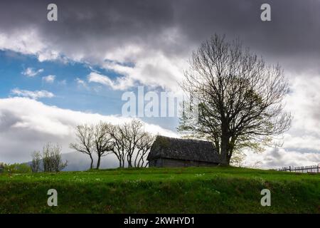 Ländliche Landschaft in den Bergen. Baum und Holzscheune auf dem Hügel. Naturlandschaft an einem bewölkten Tag Stockfoto