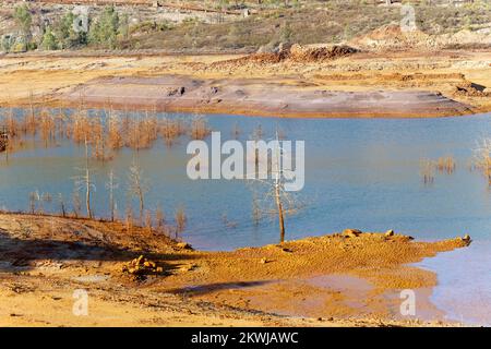 Blick auf tote Bäume in trockenen und trockenen Gebieten. Trockenes Klima. Wasserknappheit. Klimawandel und globale Erwärmung. Es gibt keinen Planeten B. dringende Maßnahmen. Stockfoto