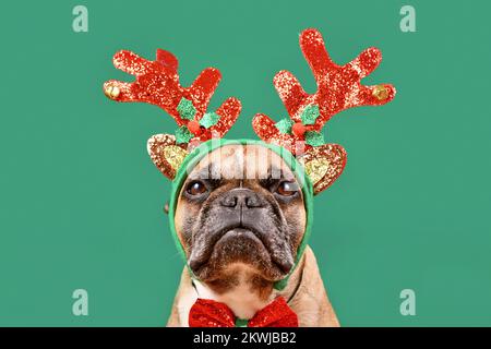 Französischer Bulldog trägt ein weihnachtliches Rentiergeweih-Stirnband vor grünem Hintergrund Stockfoto