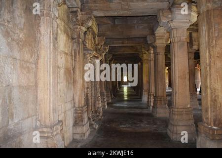 Shaher ki Masjid, Innenansicht, Steinschnitzereien auf Säulen, erbaut von Sultan Mahmud Begada aus dem 15.. Bis 16.. Jahrhundert. Ein UNESCO-Weltkulturerbe, Gujarat, Stockfoto