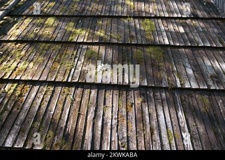 Die Struktur des Holzes auf dem Dach, bedeckt mit dicken Holzbrettern, die von der Sonne beleuchtet werden, sichtbare Holzknoten und grünes Moos Stockfoto