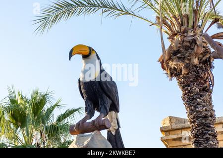 Flacher Blick auf eine farbenfrohe Tukan-Vogelskulptur am Eingang von Carthage Land in Hammamet. Tunesien. Stockfoto