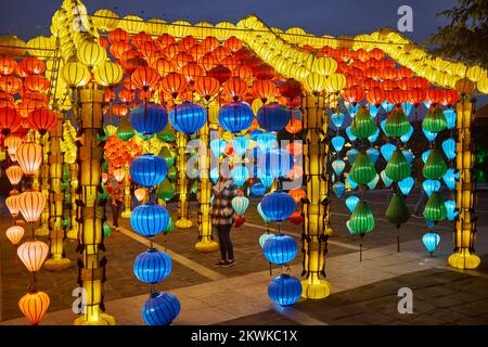 Laternen-Ausstellung am Abend in Hoi an Vietnam Stockfoto