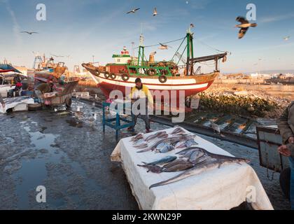 Fischerboot im Hafen von Essaouira, Marokko Stockfoto